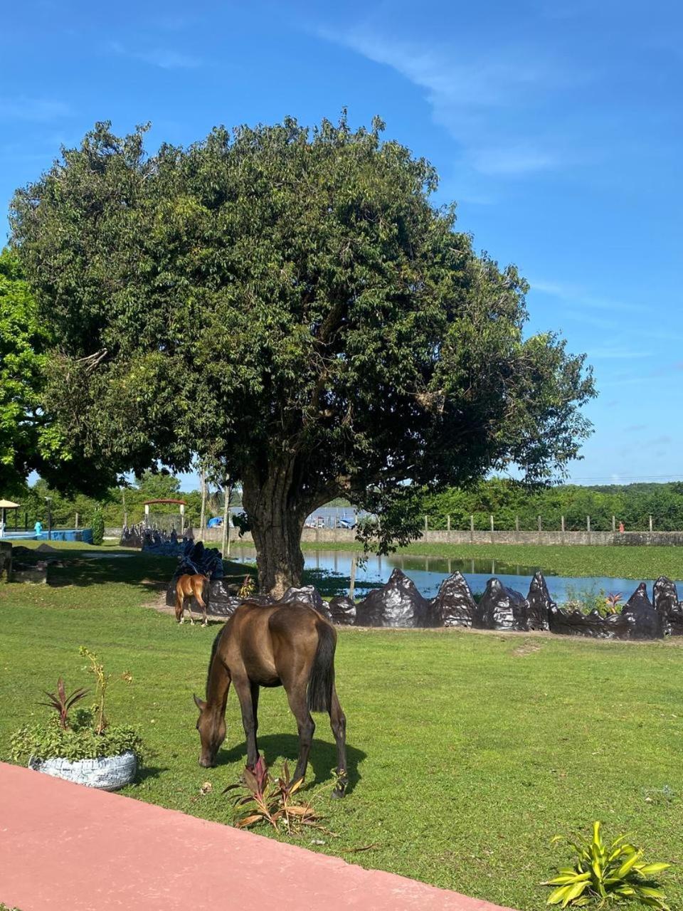 Pousada Marajoara- Hotel Fazenda-Turismo De Aventura 소우레 외부 사진