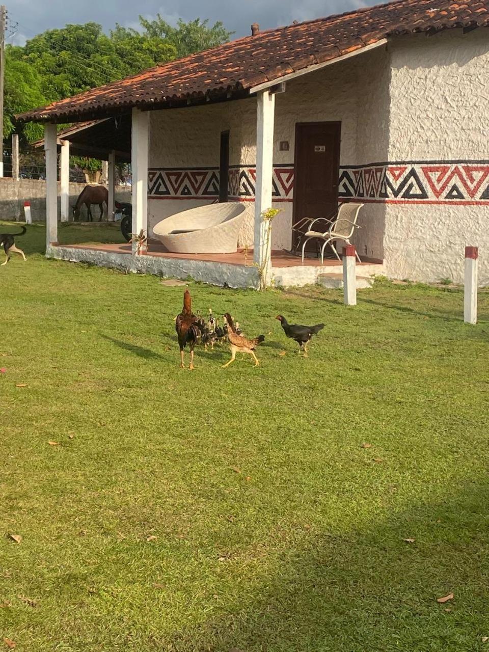 Pousada Marajoara- Hotel Fazenda-Turismo De Aventura 소우레 외부 사진